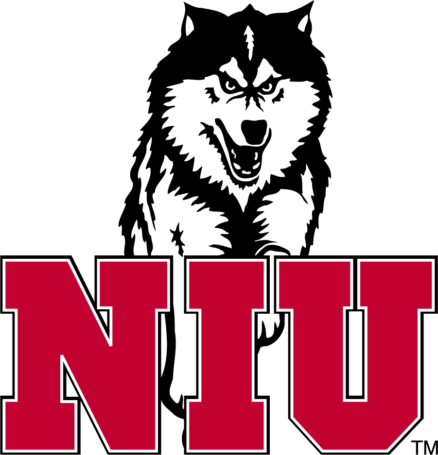 Northern Illinois Huskies 1988-2001 Alternate Logo v2 diy iron on heat transfer